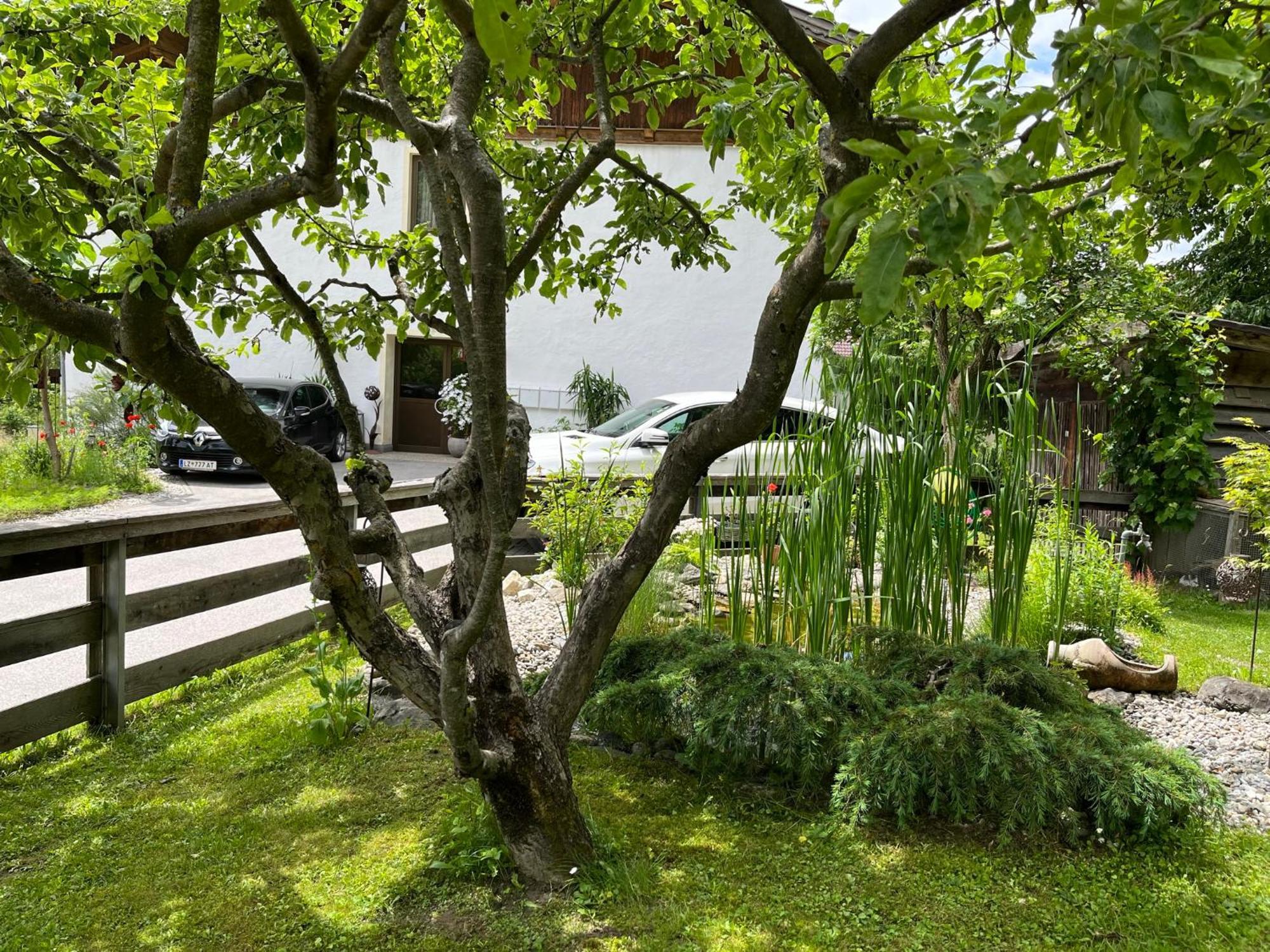 Bergmanns Ferienapartment Debant Exterior foto